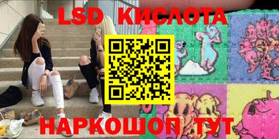 мяу мяу мука Новодвинск