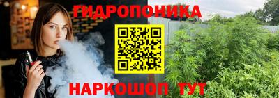 мяу мяу мука Новодвинск