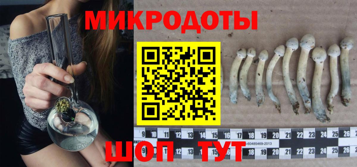 закладки  Псилоцибиновые грибы ЛСД  Вход с VPN  Шадринск  Галлюциногенные грибы MAGIC MUSHROOMS 